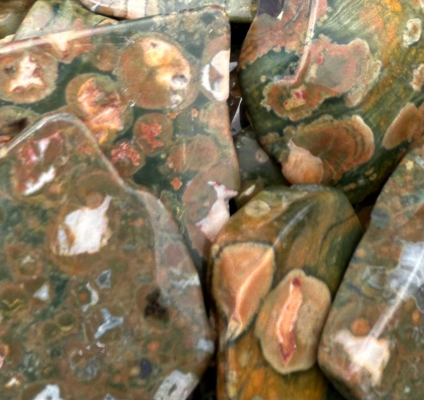 Rainforest Jasper Polished Slabs Mountain Mineral Market